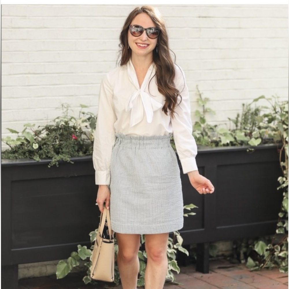 Lauren James Seersucker Skirt